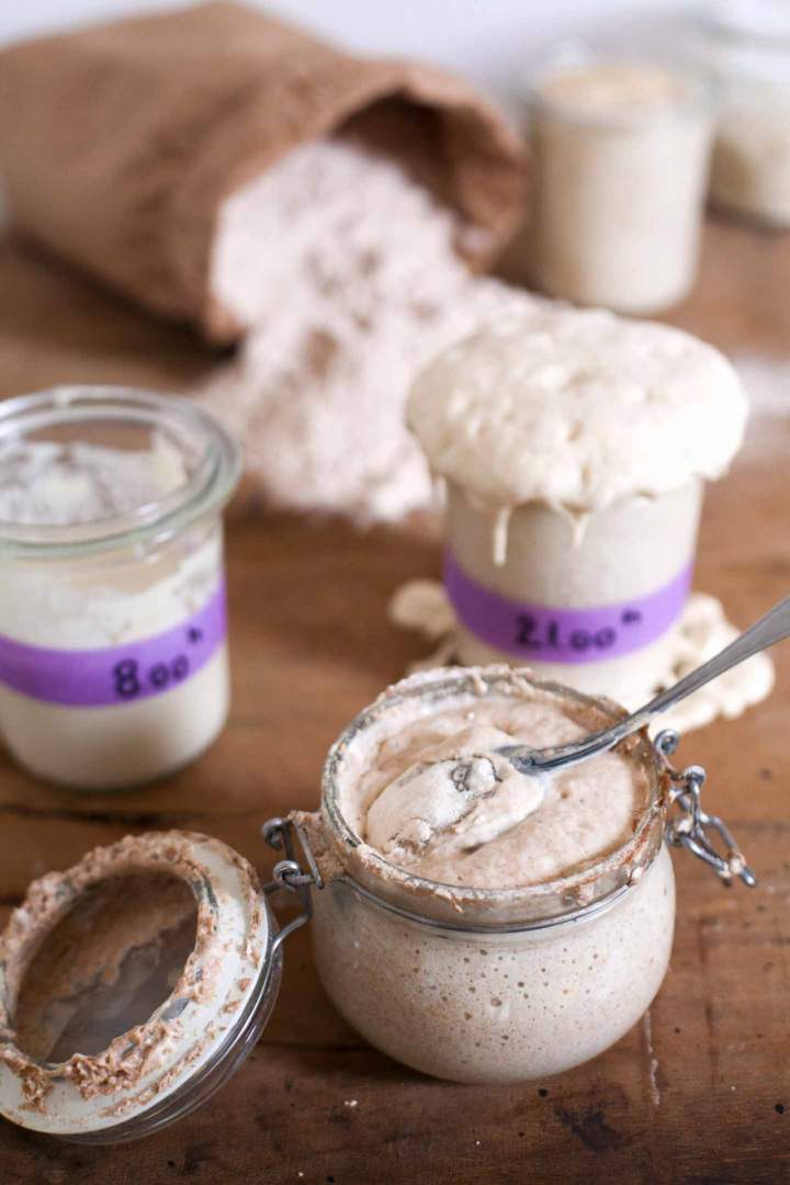 Active Whole wheat Sourdough starter in a glass jar